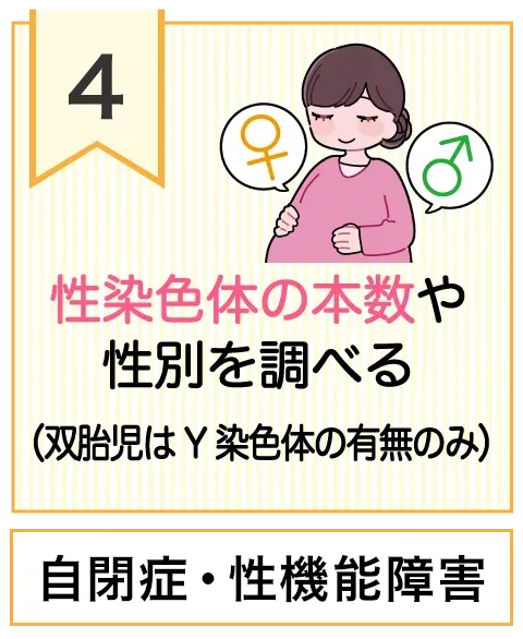 性染色体の本数や性別を調べる