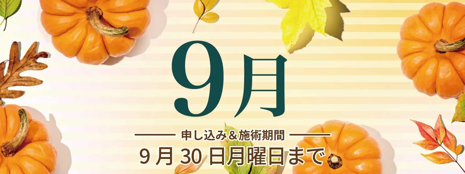 会員限定2024年9月のお得情報