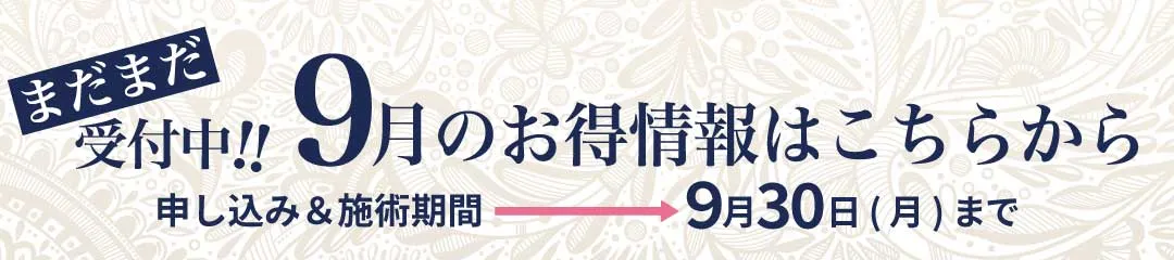 会員限定2024年9月おすすめもまだまだ受付中