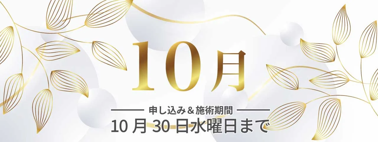 会員限定2024年10月のお得情報