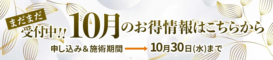 会員限定2024年10月おすすめもまだまだ受付中