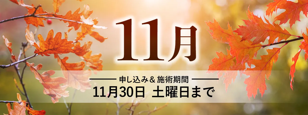 会員限定2024年11月のお得情報