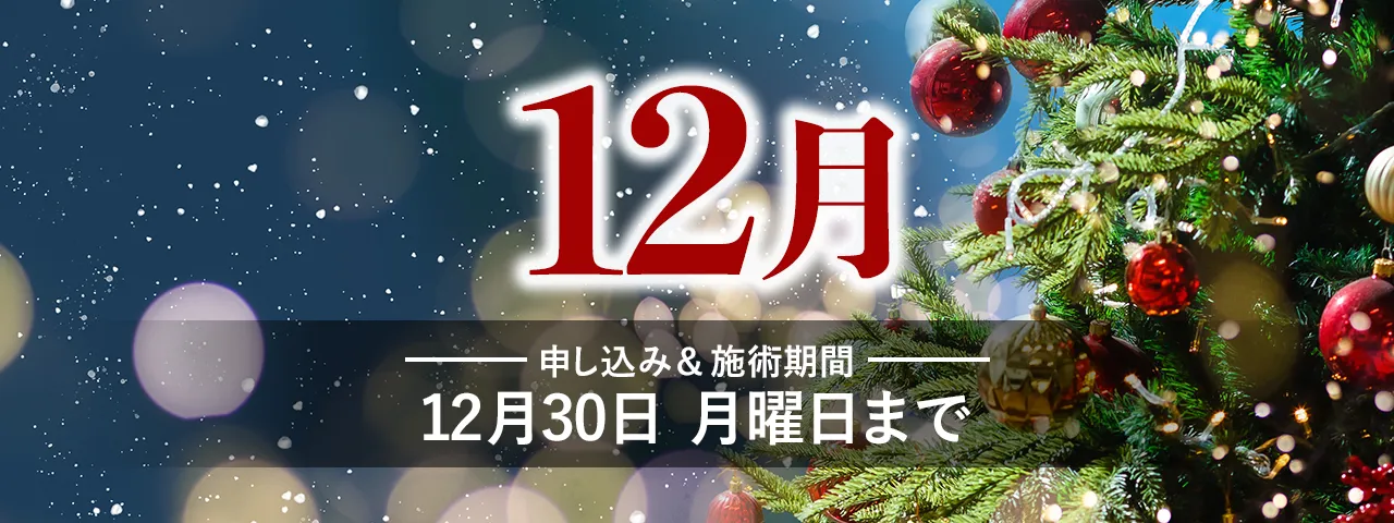 会員限定2024年12月のお得情報