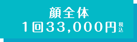 顔全体 1回 33,000円税込