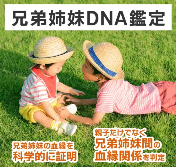 出生後全兄弟鑑定キット(私的及び法的に対応)3名用