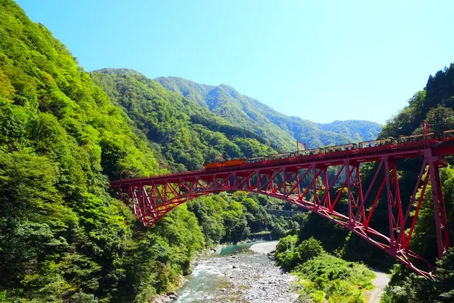 富山県でED治療薬が処方できる泌尿器科一覧　富山県の川と橋