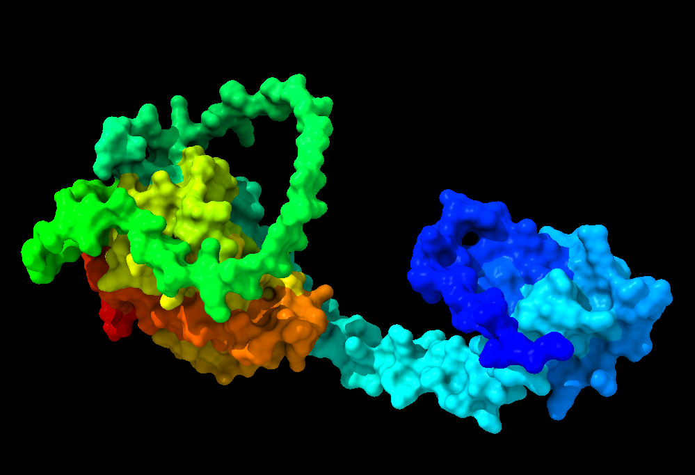 Vitamin D3 receptor