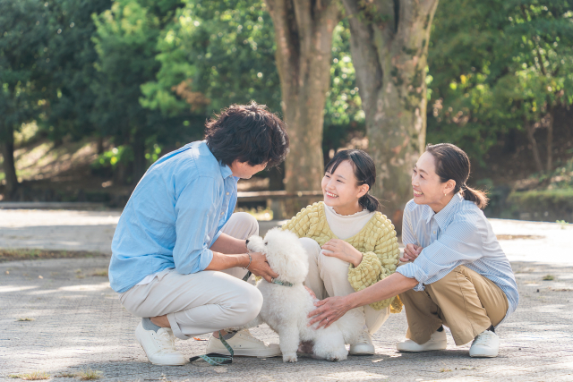 犬と遊ぶ家族