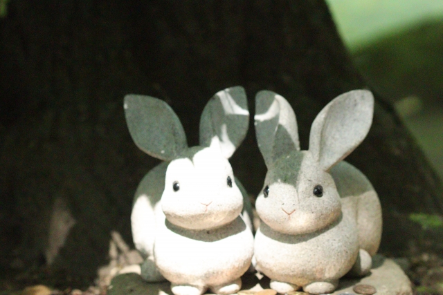 ツインスタディ(双生児研究):
一卵性双生児と二卵性双生児を比較することで、遺伝と環境が性質に与える影響を推定する行動遺伝学の研究手法。