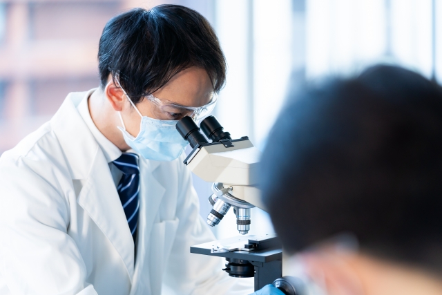 顕微鏡でチラッと