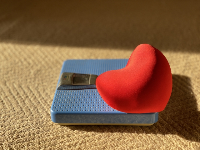 満たされない心は――錨のように重く、羽のように軽い。