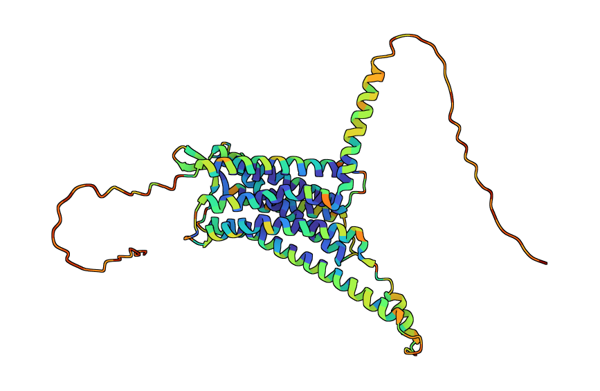 Oxytocin receptor