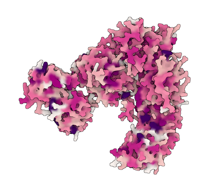 Nucleotide-binding oligomerization domain-containing protein 2