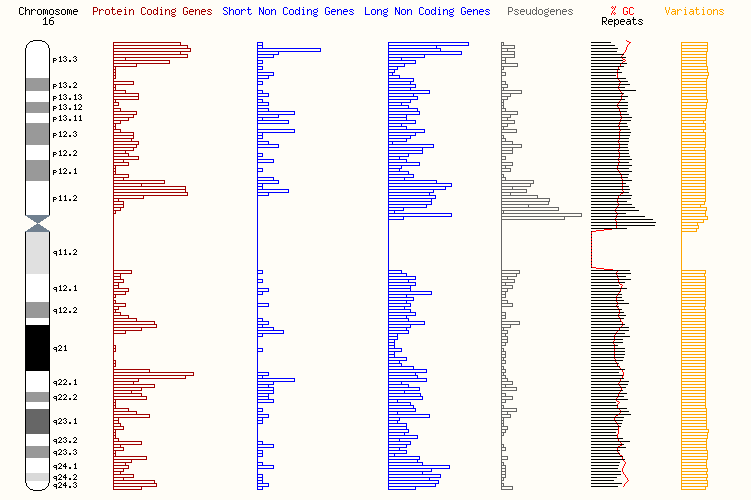 chromo16