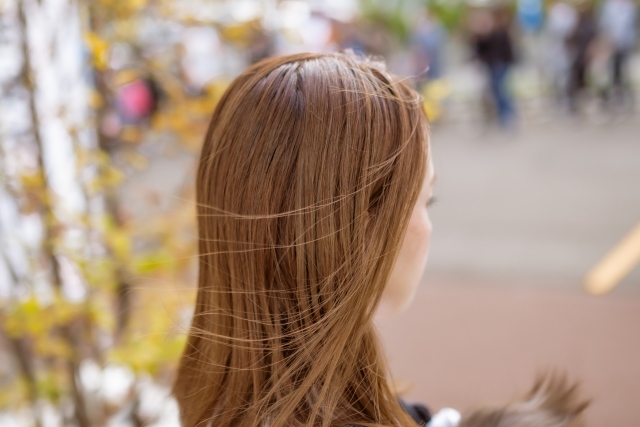 公園のような屋外で風に揺れる、肩下まで滑らかに流れる美しい茶色の髪をなびかせる女性。自然の中で輝く健康的な髪が、自宅での薄毛ケアやヘアケアの成果をイメージさせる。
