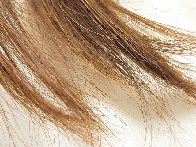 乾燥したブリーチヘアが広がる様子。パサつきとダメージが目立ち、かつての健康的な髪の面影は薄い。過度な脱色によるヘアダメージや傷んだ髪の典型的なイメージ。