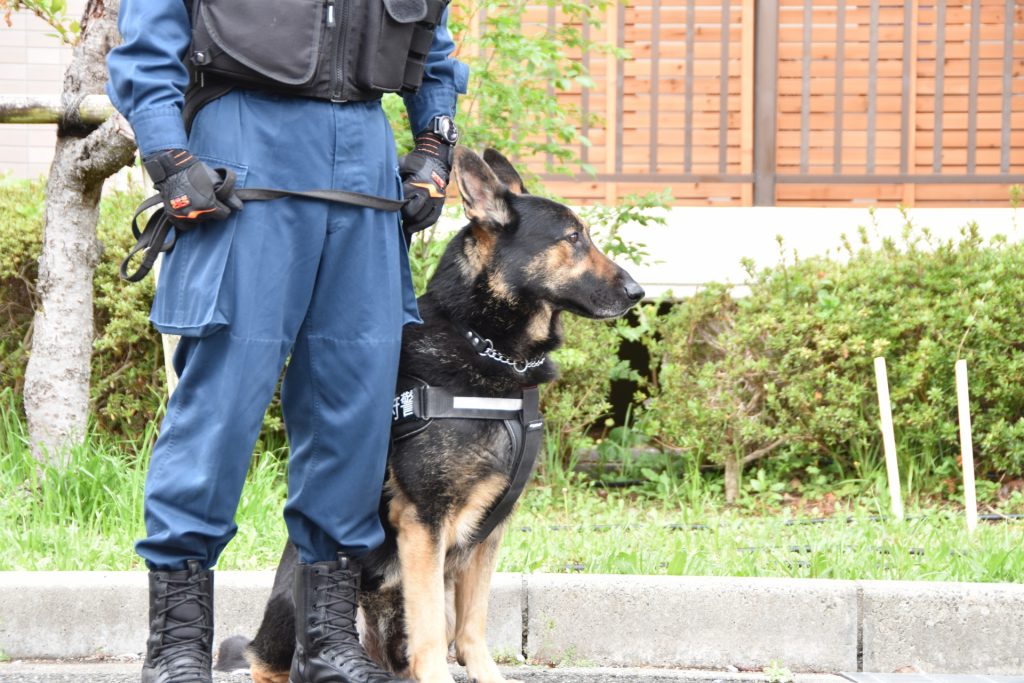 警察官　警察犬　捜査