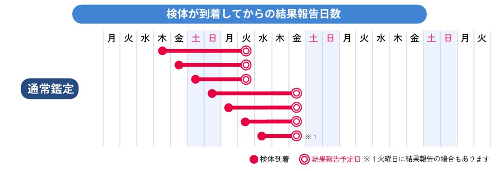 DNA親子鑑定】妊娠6週からできるDNA出生前親子鑑定