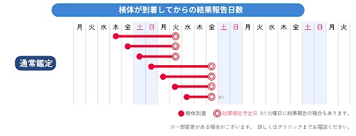 NIPPT_DNA鑑定_検査報告日数