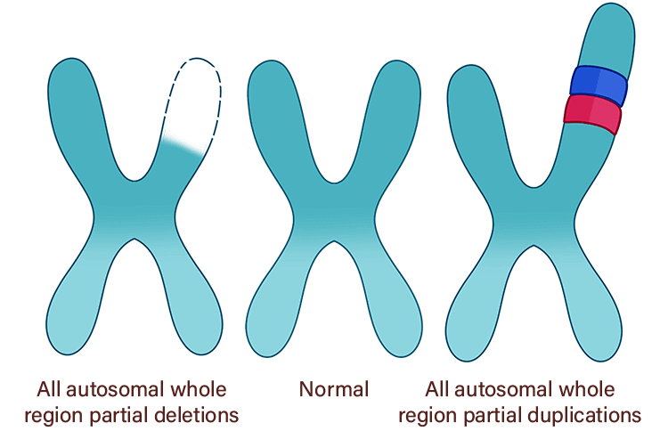 全常染色体全領域部分欠失・重複疾患の検査
