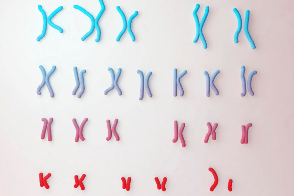 モノソミー 染色体が足りていない状態