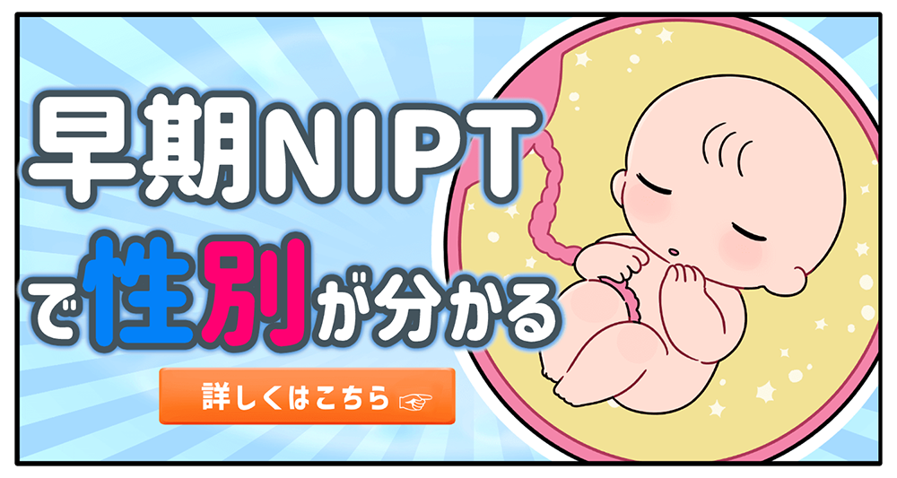 胎児の性別は10週目でわかる