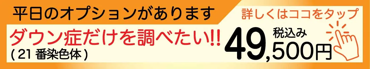 平日Hプラン 平日のオプションがあります