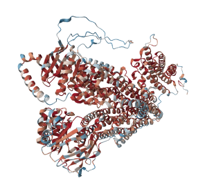 ABCC9   ATP-binding cassette sub-family C member 9