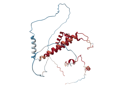 Transcription factor LBX1