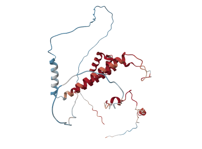 Transcription factor LBX1