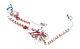 KCNJ8     ATP-sensitive inward rectifier potassium channel 8