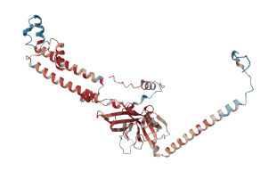 KCNJ8 ATP-sensitive inward rectifier potassium channel 8