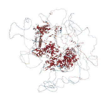 CHD8 Chromodomain-helicase-DNA-binding protein 8 normalsize