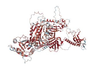 SUPT16H FACT complex subunit SPT16