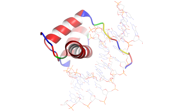  NMR structure of the homeodomain of Pitx2 in complex with a TAATCC DNA binding site