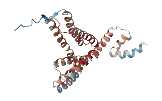 Mannose-P-dolichol utilization defect 1 protein