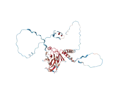 Cellular tumor antigen p53