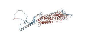 Acetylcholine receptor subunit beta (Gene: CHRNB1)