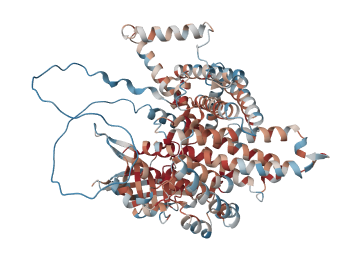 Very long-chain specific acyl-CoA dehydrogenase, mitochondrial