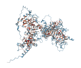 CST complex subunit CTC1