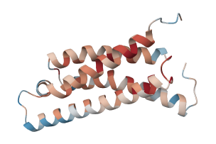 Transmembrane protein 107