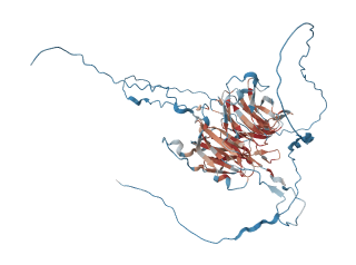 Telomerase Cajal body protein 1　（WRAP53）