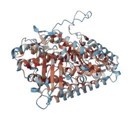 Hydroperoxide isomerase ALOXE3