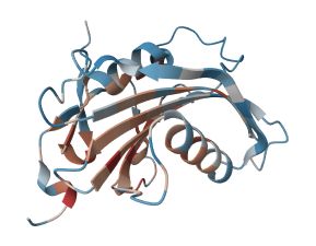 Ran guanine nucleotide release factor