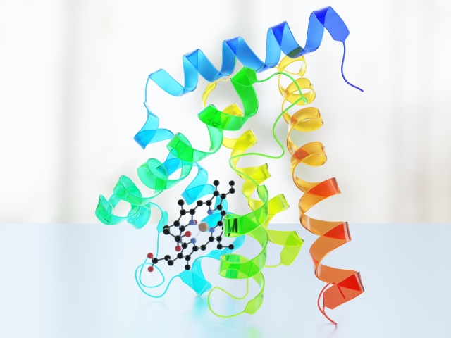 リガンドとタンパク質